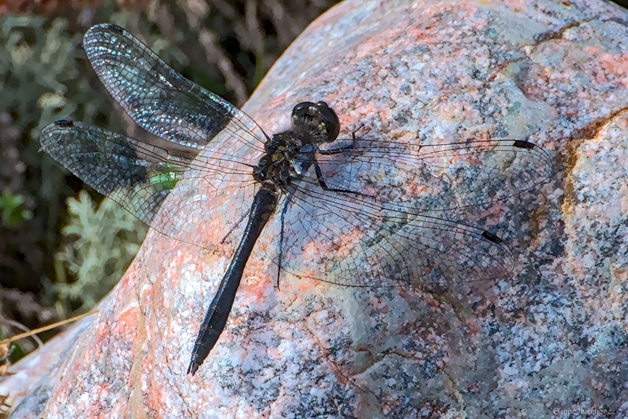 2022-09-04T18_15_28